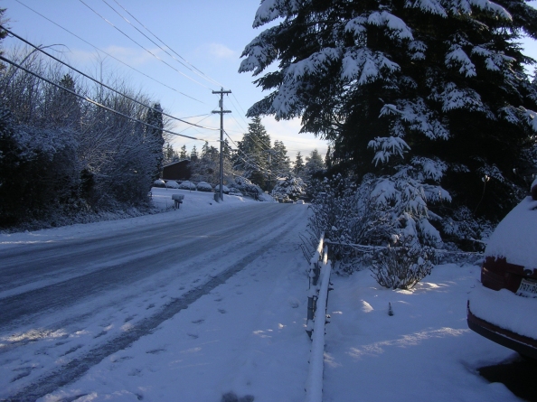 Nov Snow 3